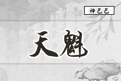 天魁意思|天魁星介绍，天魁星在十二人事宫 – 紫微麥